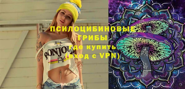 герыч Мегион