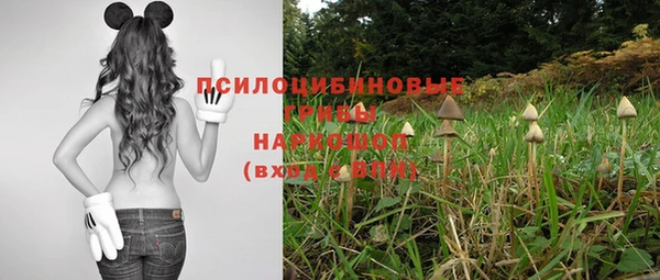 герыч Медногорск
