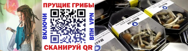 Галлюциногенные грибы GOLDEN TEACHER  Купить закладки  Балашиха 